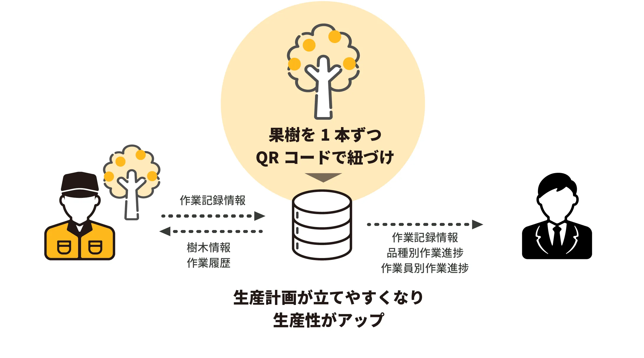 果樹を1本ずつQコードで紐づけすることで、生産計画が立てやすくなり生産性がアップ