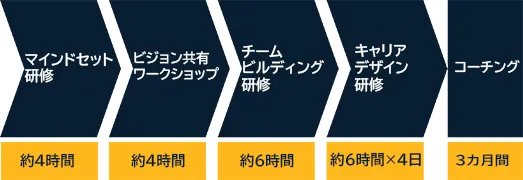 伴走型キャリア支援研修 伴走型キャリア支援研修